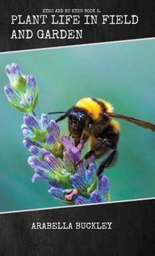 plant life in field and garden
