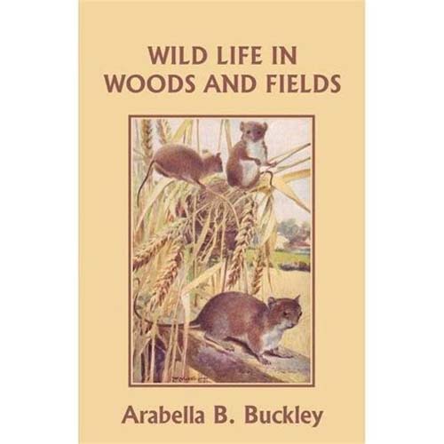 wildlife in woods and fields
