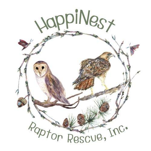 HappiNest Raptor Rescue